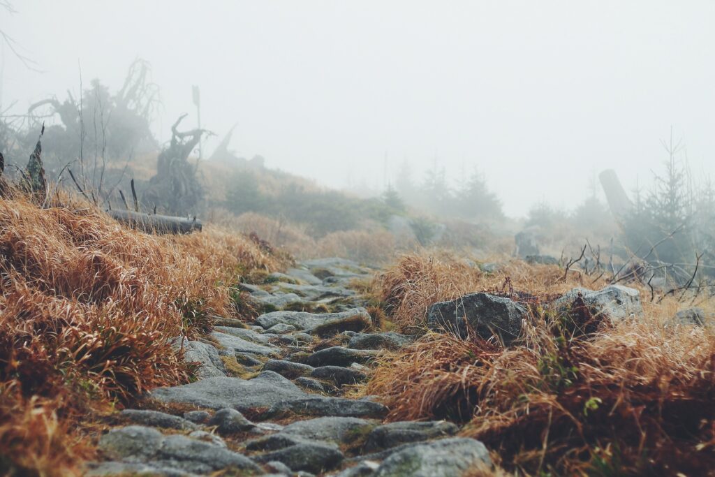 Rocky path.