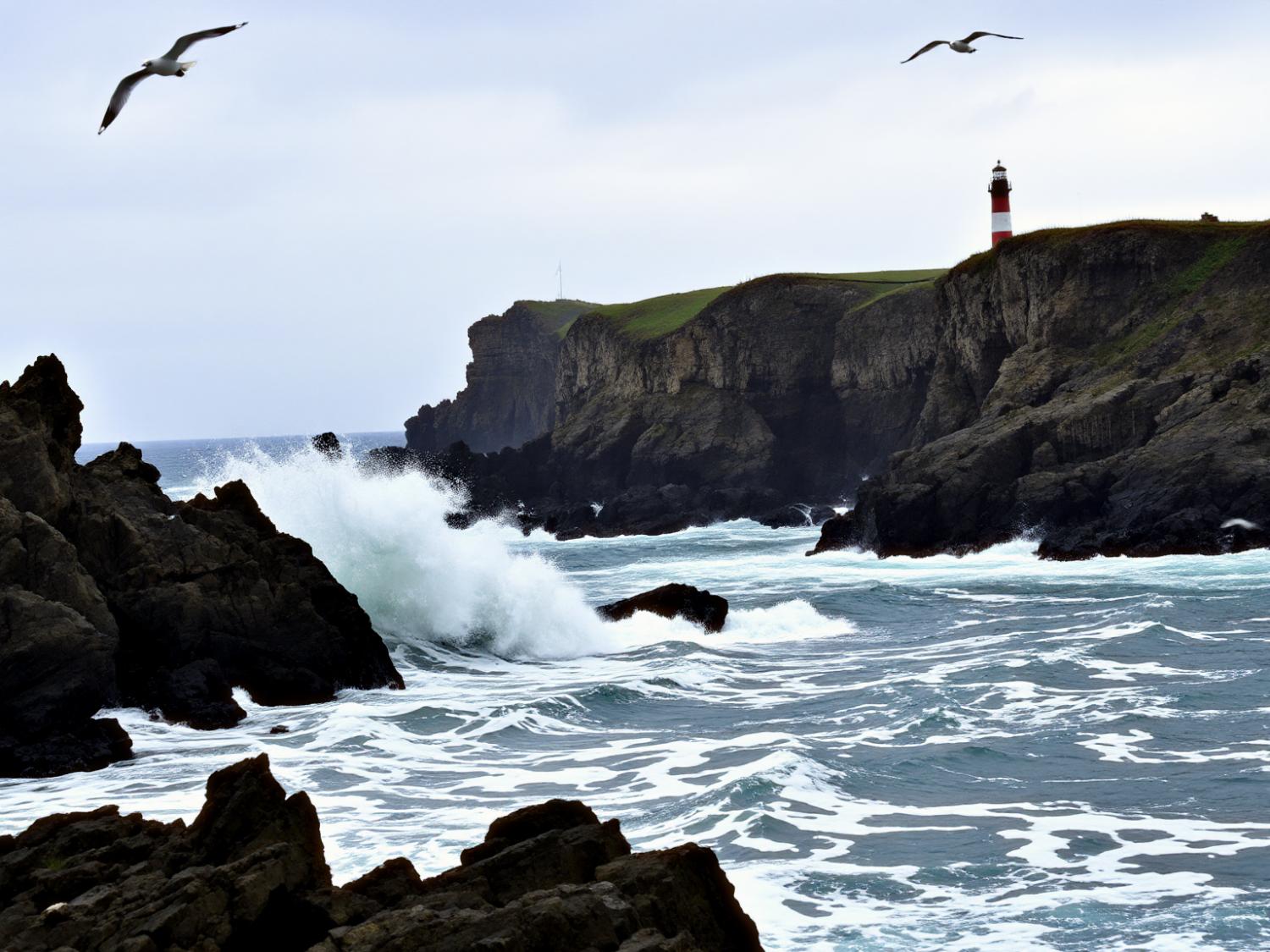 A red and white striped lighthouse stands sentinel on a grassy cliff, echoing seafarer style. Two seagulls soar over crashing waves; adventure awaits with your stylish WaterField backpack beside you.