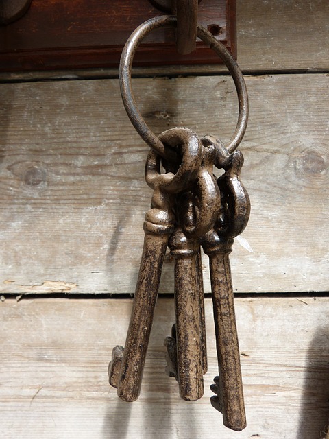 A group of first-rate keys hanging on a wooden wall.