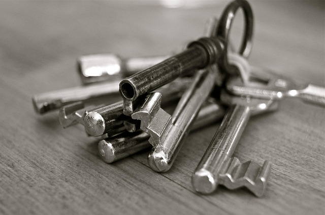 A perfect black and white photo of several keys on a table.