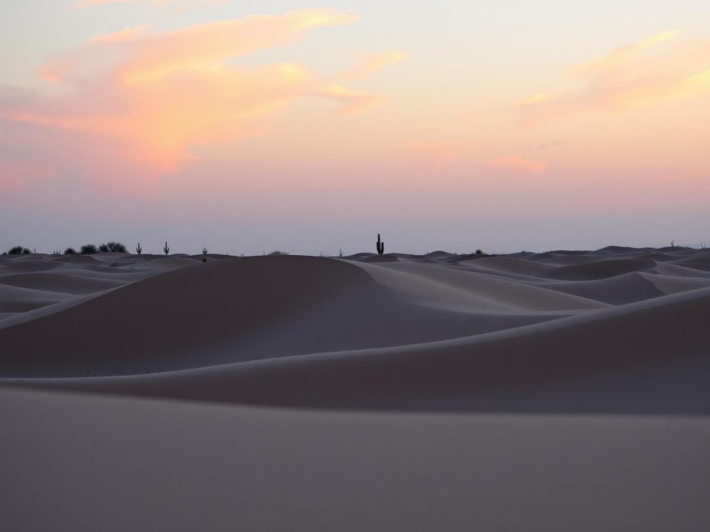 A tranquil desert at dusk showcases the chic elegance of nature; pastel skies and graceful sand dunes evoke minimalist fashion trends.