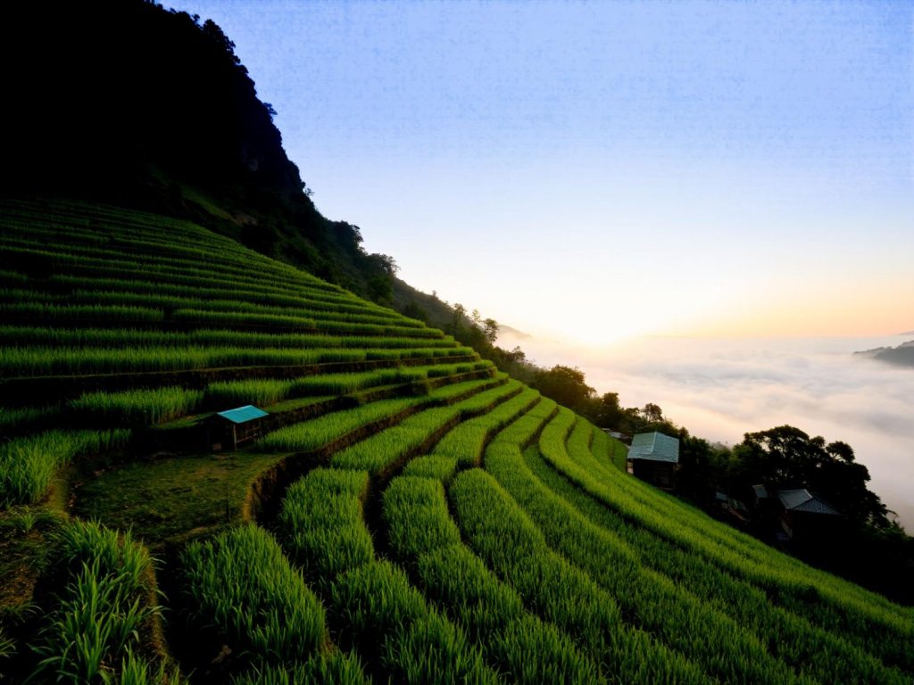 At sunrise, lush terraced rice fields inspire nature-infused fashion, ideal for sustainable dresses. Misty valleys add serene elegance.