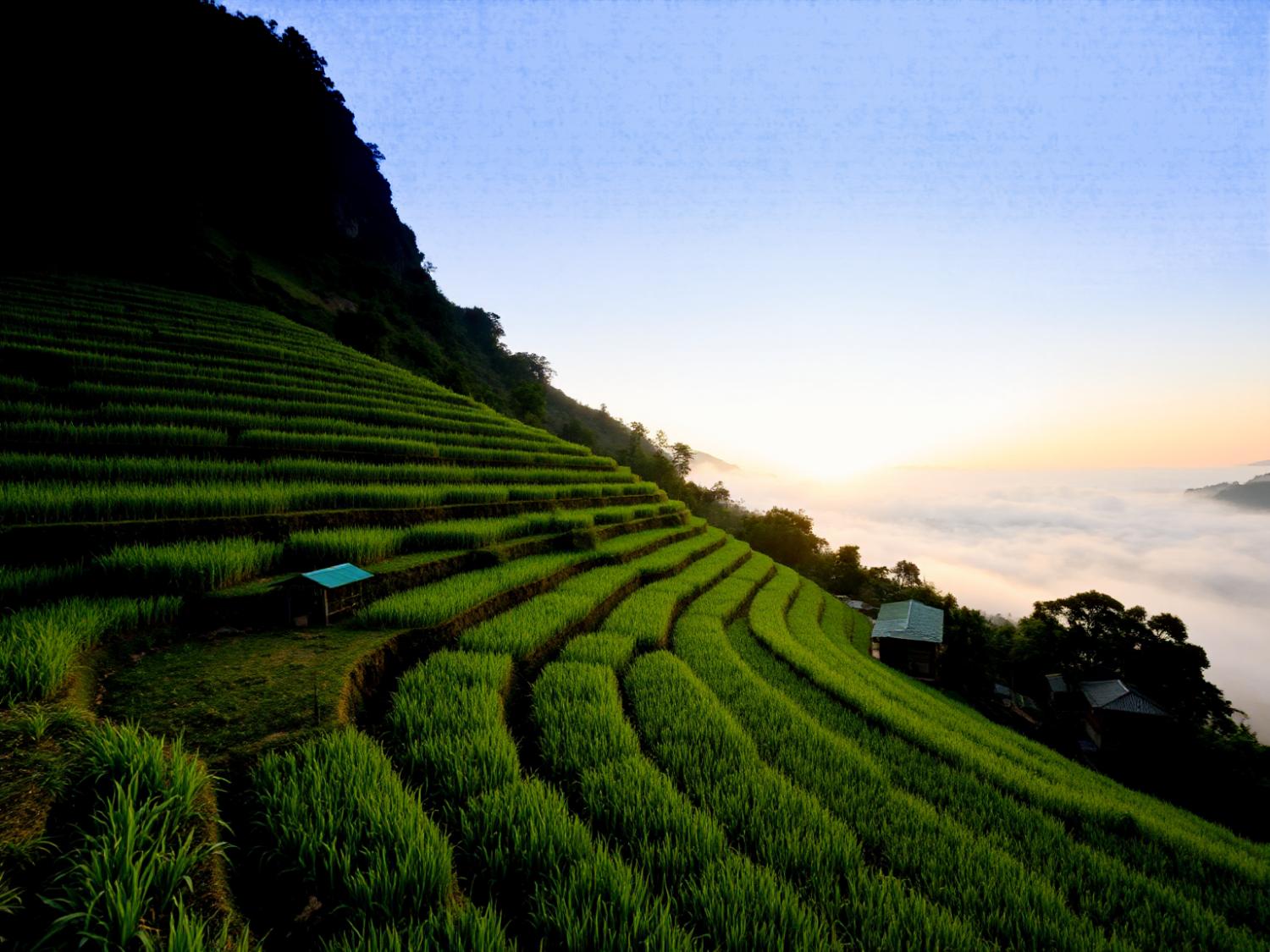 At sunrise, lush terraced rice fields inspire nature-infused fashion, ideal for sustainable dresses. Misty valleys add serene elegance.