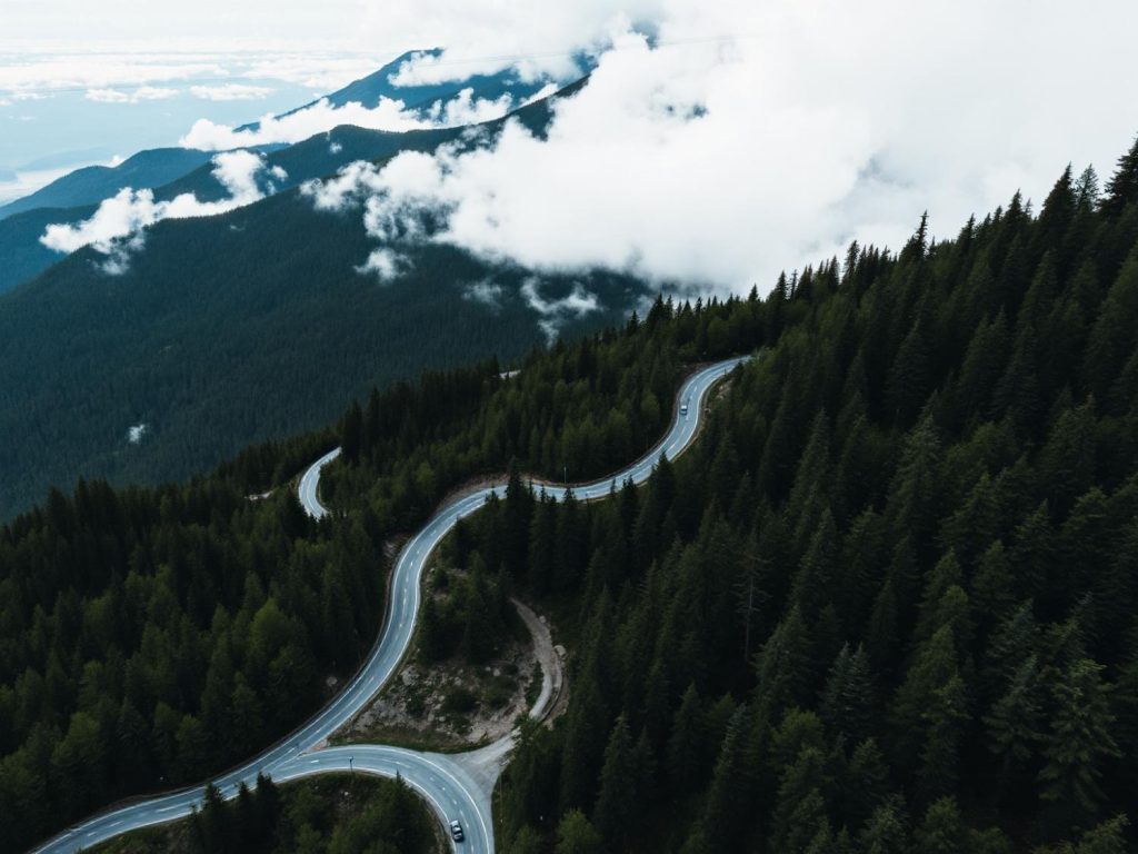 A winding mountain road through misty evergreen forests evokes the elegance of a chic, nature-inspired fashion landscape accessory.