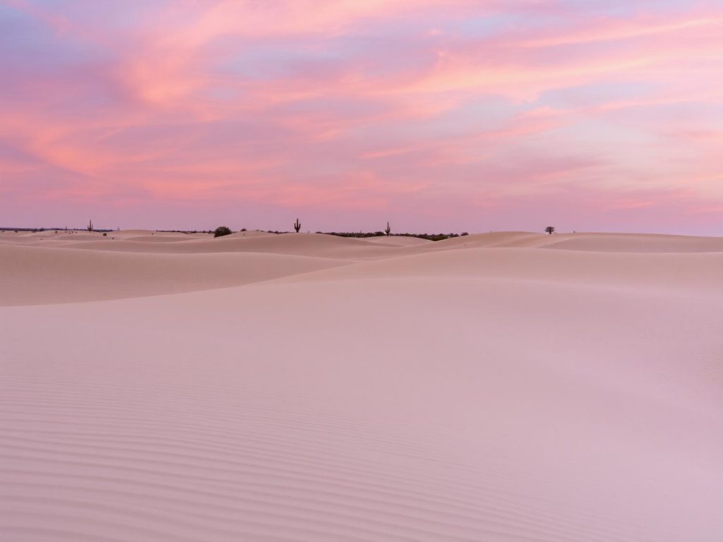 A serene desert landscape showcases rolling sand dunes under a vibrant pink-orange sunset, resembling fashion's earthy color palette trend.