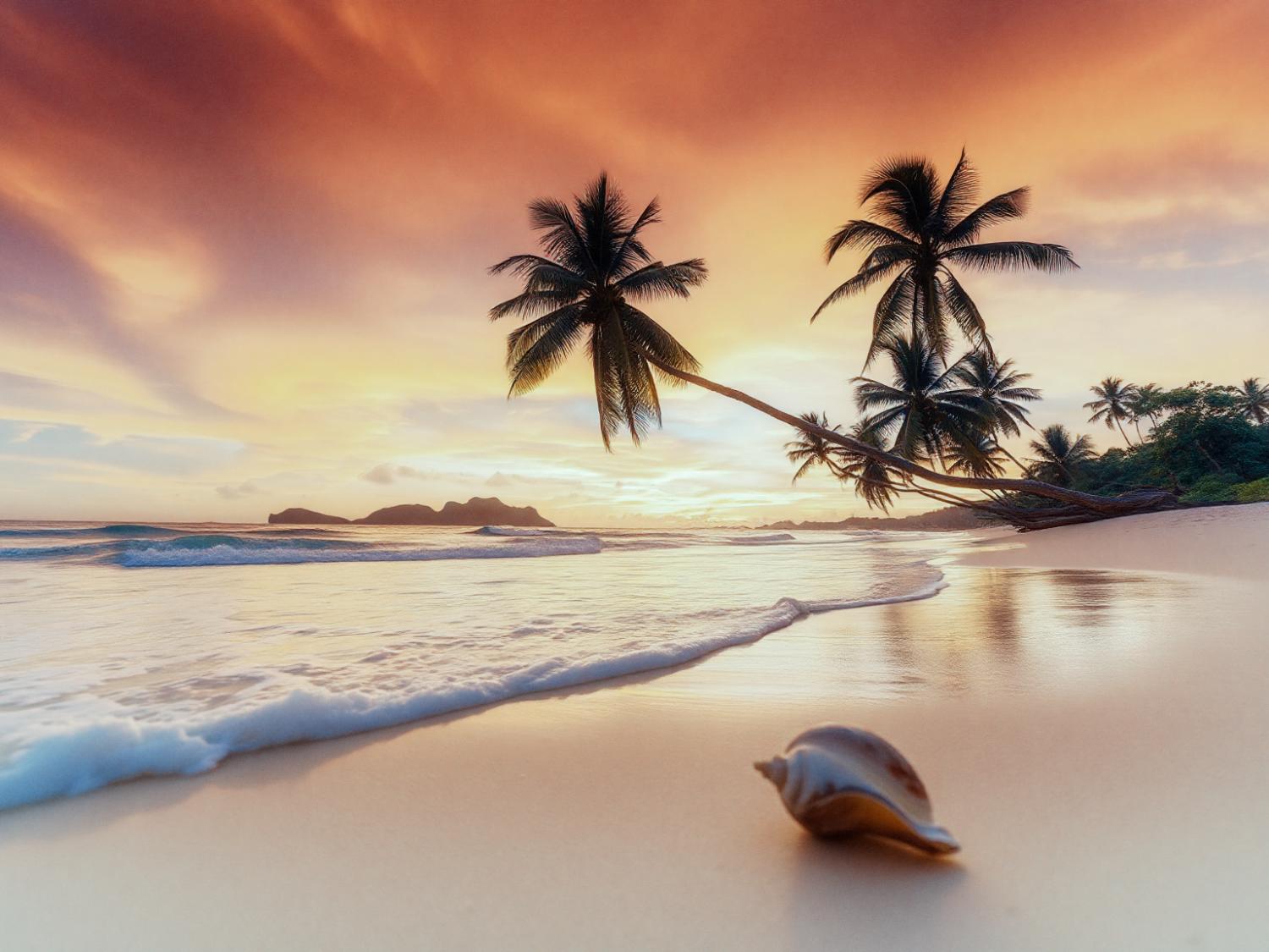 A tranquil sunset frames a serene beach with palm trees, echoing the effortless elegance of coastal fashion. Perfect summer vibes!